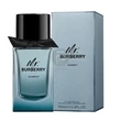 Burberry - Mr. Burberry Element férfi 100ml edt  