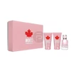 DSQUARED2 - Wood női 50ml parfüm szett  1.