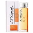 S.T. Dupont - Essence Pure Ice női 100ml edt  