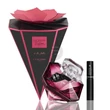 Lancome - La Nuit Tresor a La Folie női 50ml parfüm szett  1.