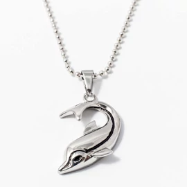 Acél delfin medál nyakláncon 