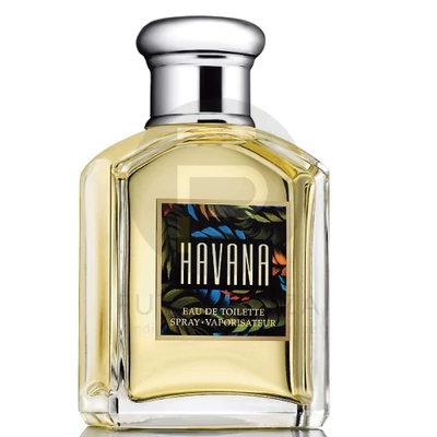 Aramis - Havana férfi 100ml edt  