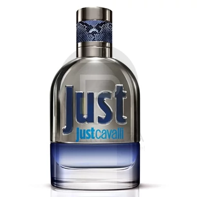 Roberto Cavalli - Just Cavalli 2013 férfi 90ml edt  