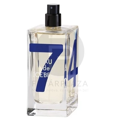 Iceberg - Eau de Iceberg Cedar férfi 100ml edt teszter 