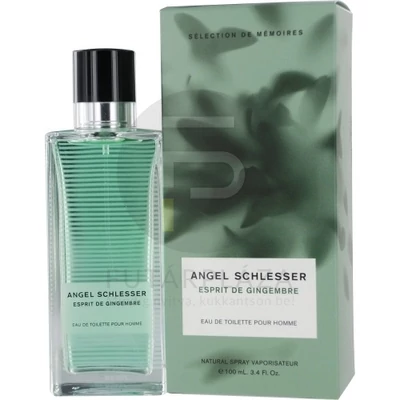 Angel Schlesser - Esprit Gingembre férfi 100ml edt  