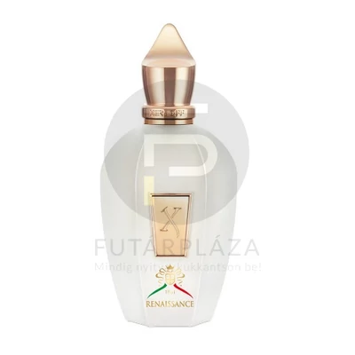 Xerjoff - XJ 1861 Renaissance unisex 100ml edp  
